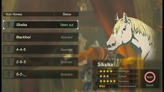 BOTW  - How Fast is the Fastest Horse Compared to the Other Horses