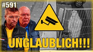 Auf Kamera: Pinkel-Prolet zerstört Teilelieferung! 😡😡 | Frontscheiben-Pfusch im Quashqai?