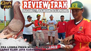 BRAJAMUSTI|BURUNG KARAKTER TINGGI|DI KANDANG BLACK MAMBA|REVIEW KANDANG|JUARA 2 PRA LOMBA PMKN