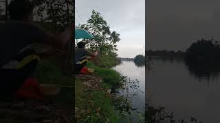 Mancing Mujair di Bekasi Danau panjang #shorts