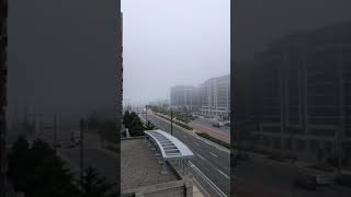 Summer mornings in Canada | Foggy view | #shorts