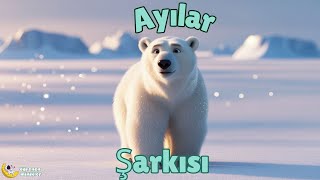 Ayılar Şarkısı | Eğlenceli ve Öğretici Çocuk Şarkısı