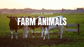 🐄 Relaxing Farm Animals Sounds • Calm, Sleep, Mindfulness, Reduce Stress & Treat Insomnia