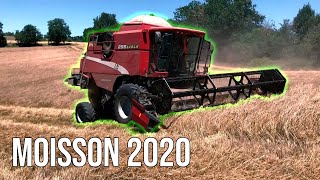 MOISSON 2020 DANS LE TARN