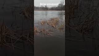 Зима надворі! Сніг на вулицях! В сердці любов до України та родини! Всім чудового настрою! Т