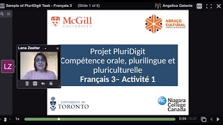 PluriDigit Project - Sample of French Task (Level 3)