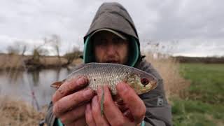 AN DER WARNOW AUF WEIßFISCH / ANGELN AM GRUND