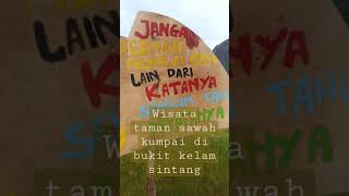 DESTINASI WISATA ALAM_TAMAN SAWAH KUMPAI DI BUKIT KELAM KAB. SINTANG