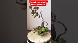 Измените облик растений:советы и лайфхаки #diy #цветы #декор #сделайсам #декор #рослини #творчество