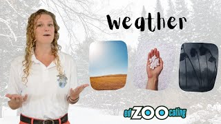 Weather | What Is Weather? | EdZOOcating Adventures