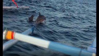 Dolphin watching at dawn off Lovina Beach, north coast of Bali, Indonesia.