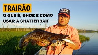 Chatterbait: mais uma forma para pescar o trairão