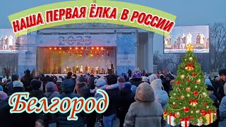 #52 Из Германии в Россию/ Как в Белгороде проходит елка