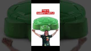 THIS IS SANDPIT TURTLE #shorts #metal #bringmethehorizon