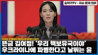 미국도 인정하지 않았는데   우크라이나에 파병한다고 날뛰는 룬! / 뜬금 김여정! 북한은 핵보유국이야!!