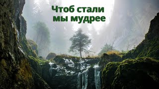 СТИХИ. Чтоб стали мы мудрее. Красивые стихи.