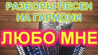 РАЗБОРЫ ПОД ГАРМОНЬ! ЛЮБО МНЕ!