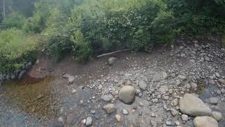 Seward Brook Crossing at Ouluska Lean-to on the NPT