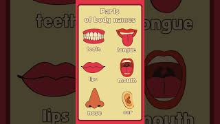 👁️‍🗨 Explore the Fascinating World of Body Parts' Names | MQ Improve Your English"