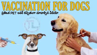 DOG VACCINATION GUIDE IN Telugu | Taju Logics