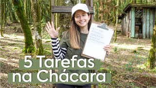 Rotina da CHÁCARA | 5 Manutenções/Tarefas Para VOCÊ Acompanhar