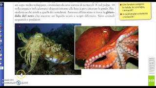 Gli invertebrati  parte1