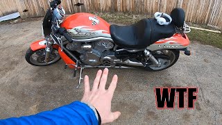 Fastest Harley ever made!! Vrscx V-rod Screaming eagle! 0-60mph