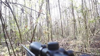 Found the Does and Looking for Bucks! (Part 1)