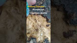 Структура деревая #мебель