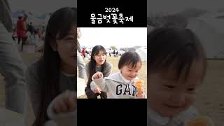 2024 물금벚꽃축제