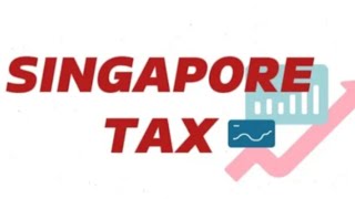 SINGAPORE TAX | HOW TO SUBMIT SINGAPORE TAX INFO