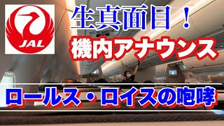 伊丹発 JAL CA安定感のある丁寧なアナウンスとロールスロイスの咆哮 【IBA飛行機】