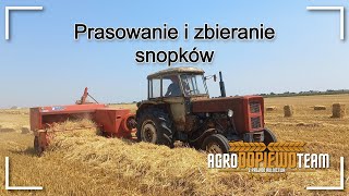 Prasowanie & zbieranie snopków 2022✔🔥Zetor 7211 & Ursus c-360 & sipma z 224/1🔥