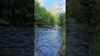 #Relaxing in the beautiful nature of #Northumberland, #Wooler. 🏞️🌳 #SpringVibes #NatureLover #Water