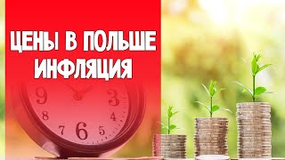 Цены в Польше на продукты 2021. Инфляция