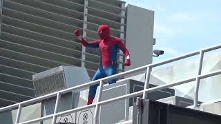 Spider-Man Stunt Show and Pre-Show of WEB Slingers at Avengers Campus in DCA