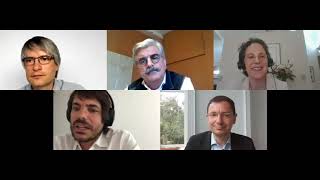 Webinar "The Virus of Financial Deregulation" (Italian Version / Versione italiana)