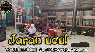 JARAN UCUL GANDRUNG COVER ERLIN FIBRIANI LATIHAN LAGU BANYUWANGI SANGGAR SAYU WIWIT