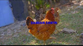 Damian Sanya _ Utanipenda _ [Official Music Video]