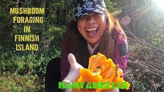 Ep 275: WILD CHANTERELLE MUSHROOMS FORAGING IN FINLAND/ MY FIRST TIME/ SUMMER EXTENDED