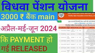 😱 Vidhwa Pension Payment Status Check Online 2024।Vidhwa Pension Payment  Kaise Check Kare #Pensions