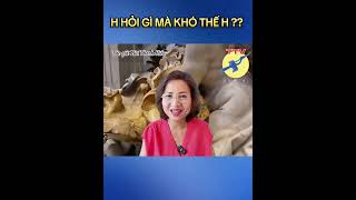 🎯 Hiếu Gió hỏi gì mà khó thế ?