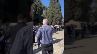 Dome of the Rock #jerusalem #domeoftherock #alquds #travel #tour