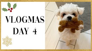 VLOGMAS DAY 4 2020