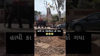 હાથી કા એક્સિડન્ટ હો ગયા | ELEPHANT |#shortvideo | #viralvideo