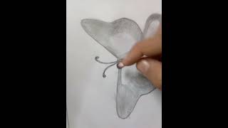 How to draw beautiful butterfly EASY idea 💡 to draw butterfly 🦋 step by step 🎨 #nocopyrightmusic