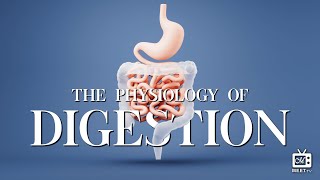 The Physiology of Digestion | Dr. Thomas Jackson