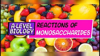 A-Level Biology: Reactions of Monosaccharides