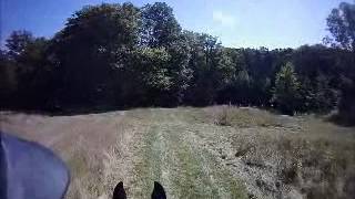 Bruce and Gamble at Lanes End Horse Trials in Bobcaygeon Ontario, Preliminary Division