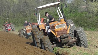 [ARATURA DI GRUPPO CON TRATTORI D' EPOCA 2024] FIAT-MASSEY FERGUSON-OM